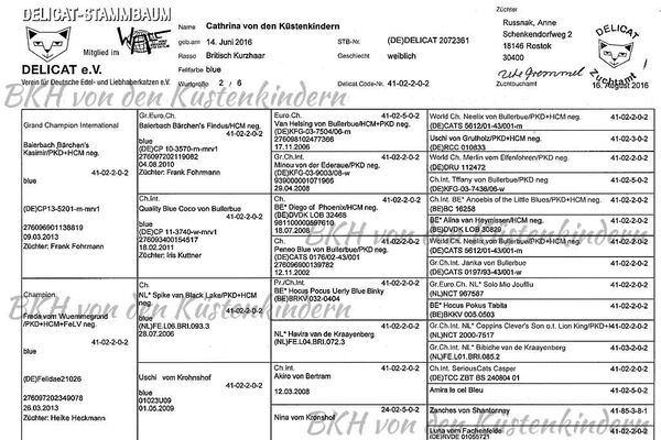 Stammbaum Cathrina von den Küstenkindern