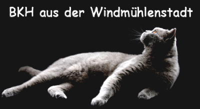 BKH aus der Windmühlenstadt